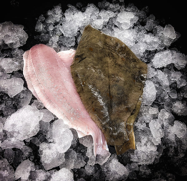 Flounder Sole of Discretion